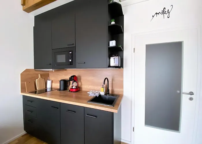 Appartement Miky Klinovec View Loučná pod Klínovcem